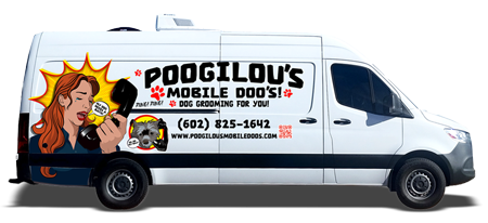 poogilou-van